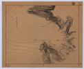 中研院圖資第18張縮圖