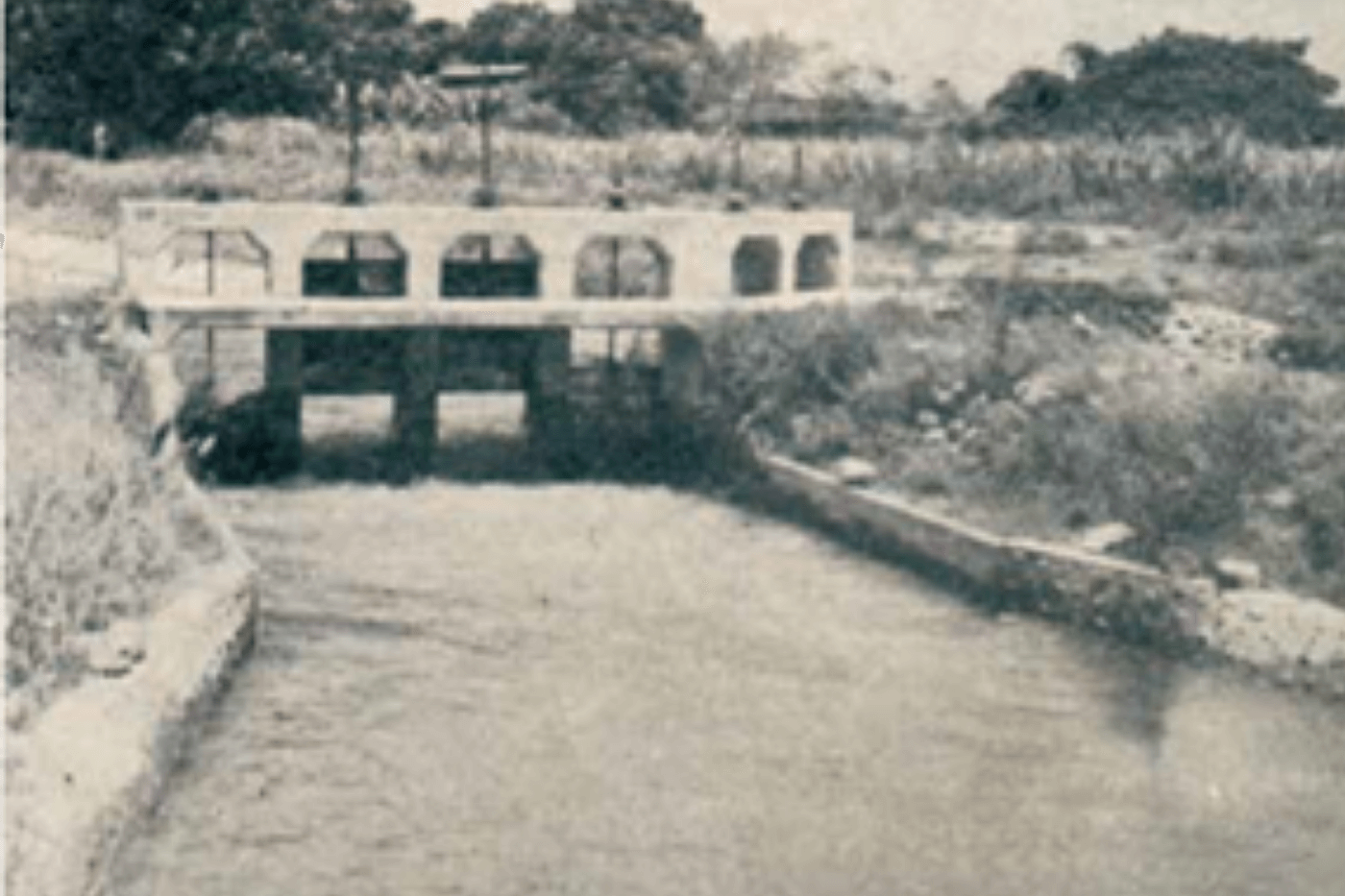 周禮（1902-不詳）