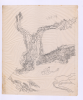 中研院圖資第12張縮圖