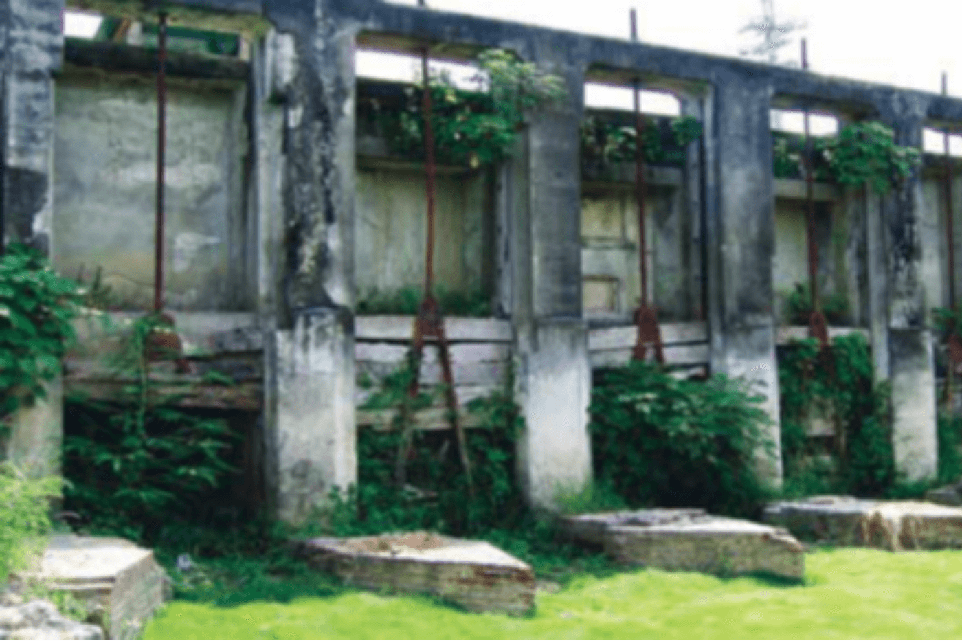 孕育高雄平原的母親河